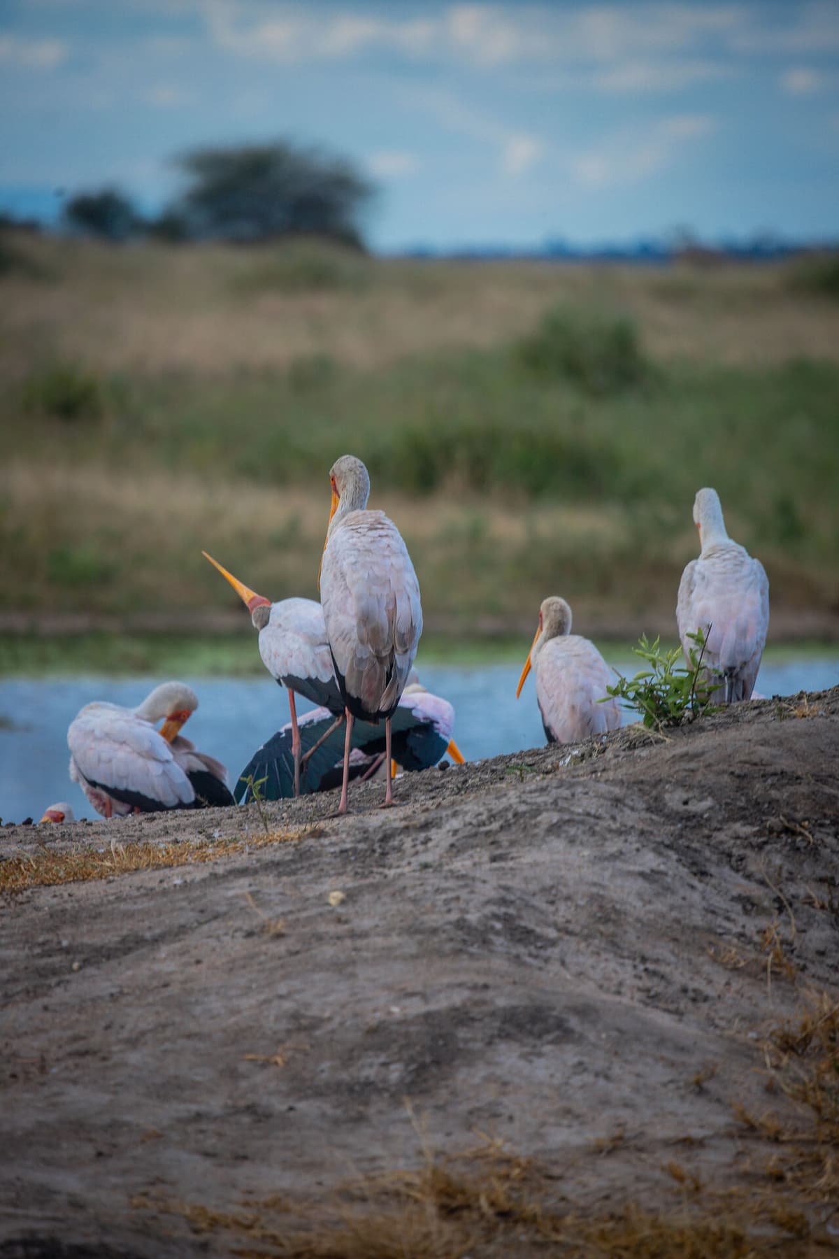 Tanzania, East Africa