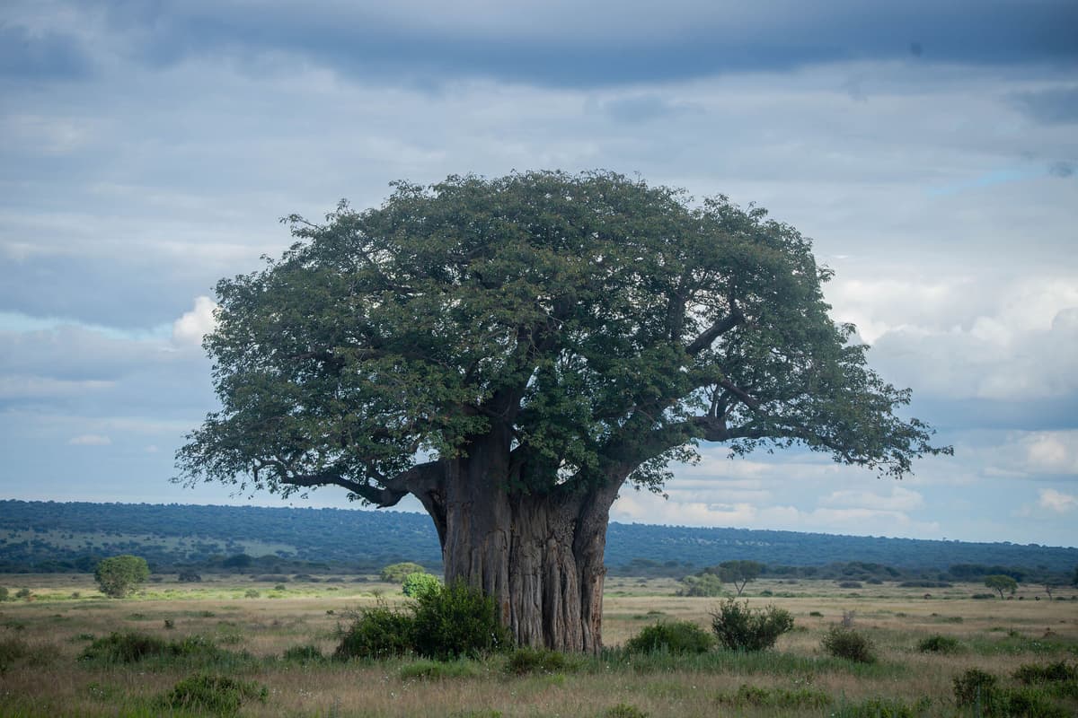 Tanzania, East Africa