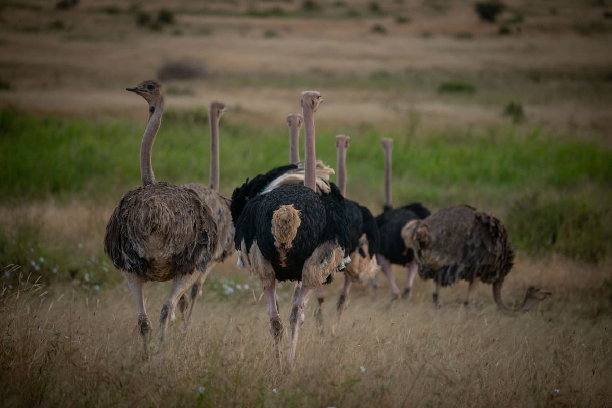 Tanzania, East Africa