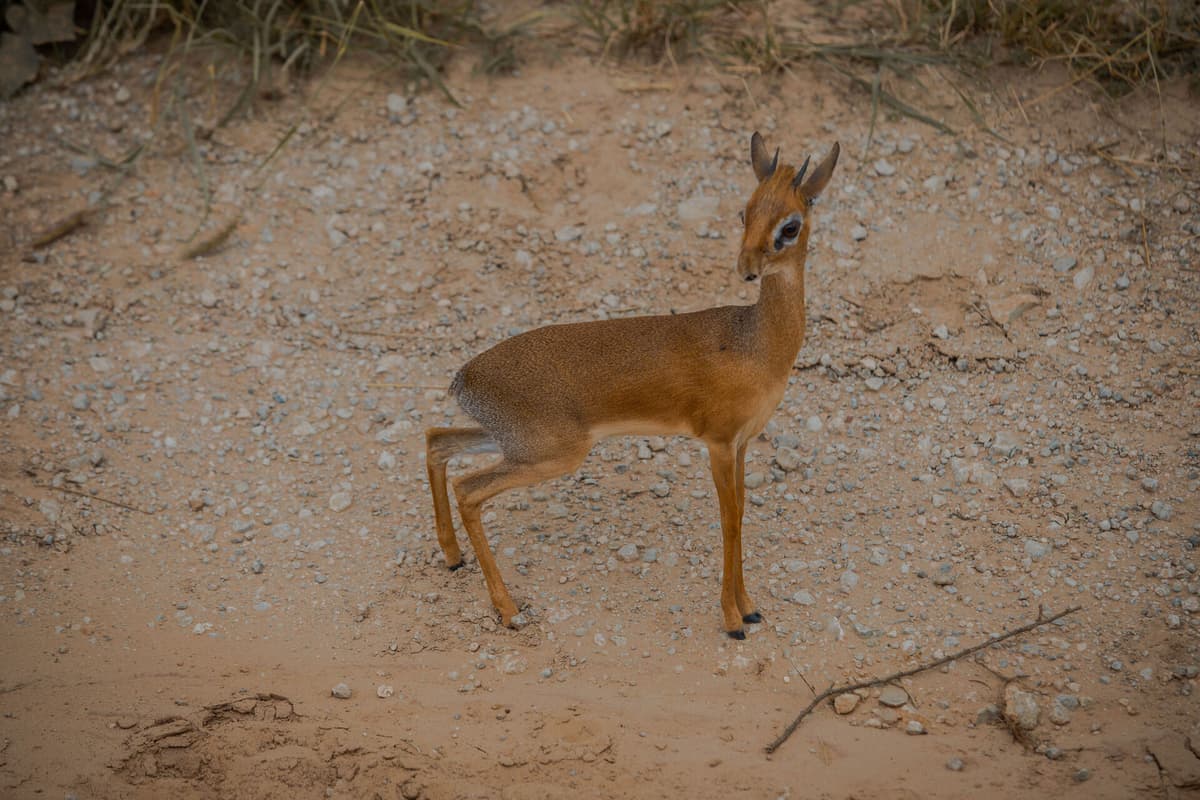 Tanzania, East Africa