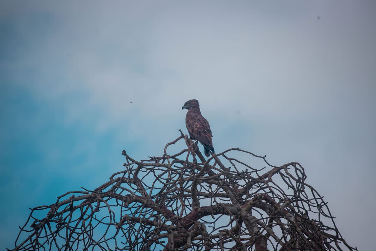Tanzania, East Africa